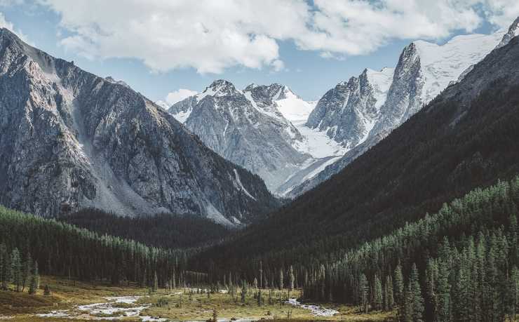 葡萄牙球迷：是否期待C罗征战2026世界杯？